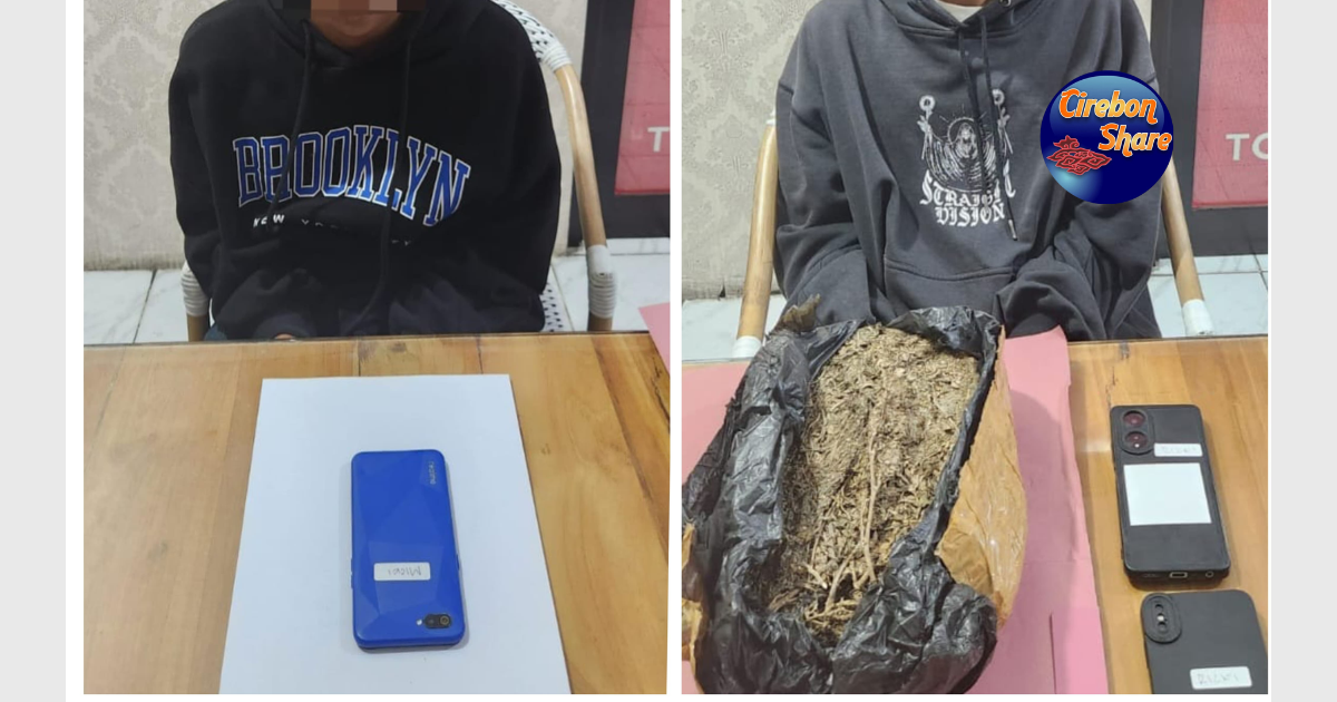 Penangkapan pengedar ganja Cirebon