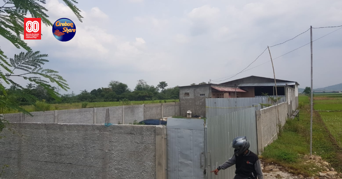 Dugaan Pabrik Oli Palsu