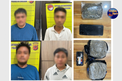 Peredaran Ganja di Cirebon