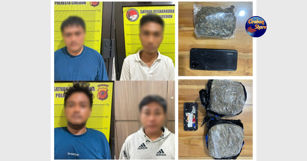 Peredaran Ganja di Cirebon