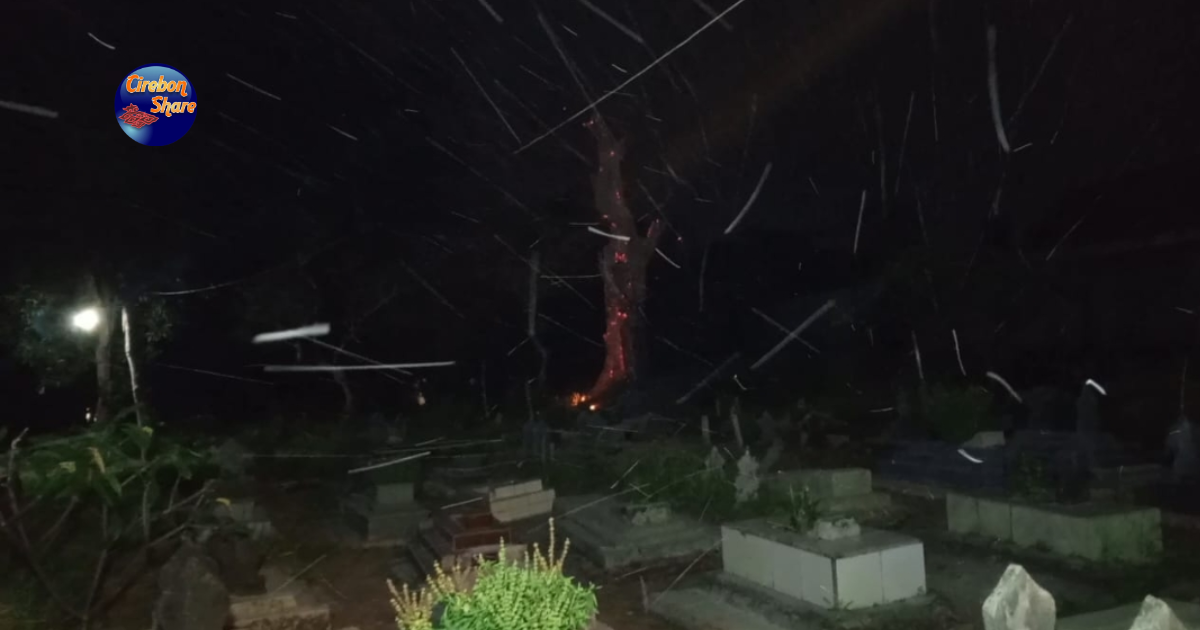 Pohon Beringin Terbakar