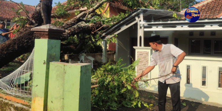 Pohon Tumbang Timpa Rumah di Cirebon