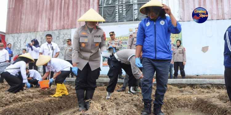 Ketahanan Pangan Cirebon