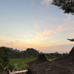 Sawah Bengkok Desa Wisata Teja menghadirkan hamparan persawahan hijau yang asri dengan suasana pedesaan yang tenang dan menyejukkan.