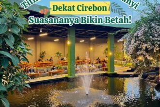 Titik Teh Kuningan, Tempat Nongkrong Adem dengan Suasana Asri menawarkan pemandangan hijau, gemericik air, dan suasana nyaman dekat Cirebon.