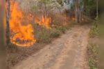 Kebakaran Gunung Ciremai di Desa Singkup dengan kondisi kawasan yang terdampak kebakaran.