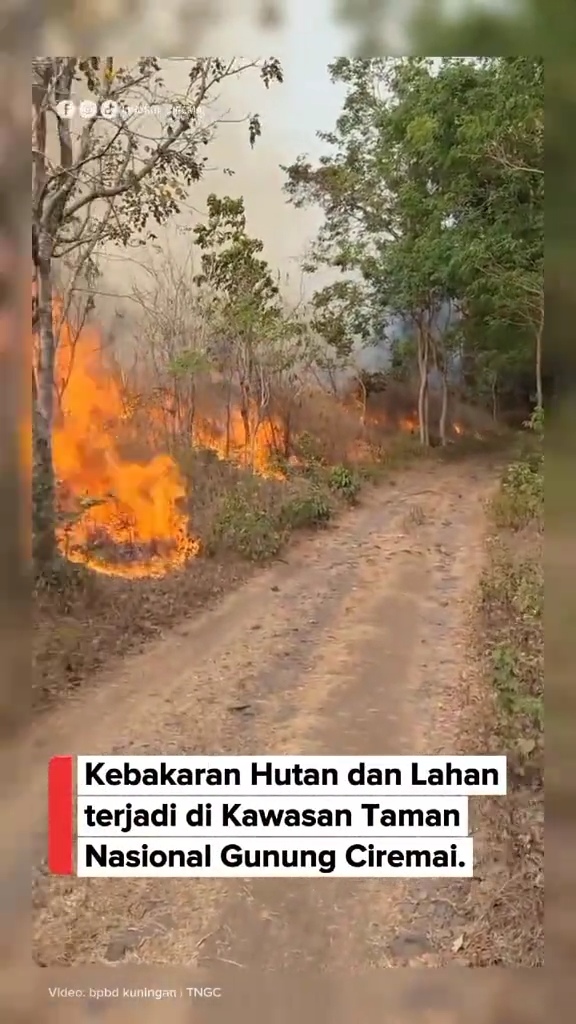 Kebakaran Gunung Ciremai di Desa Singkup dengan kondisi kawasan yang terdampak kebakaran.